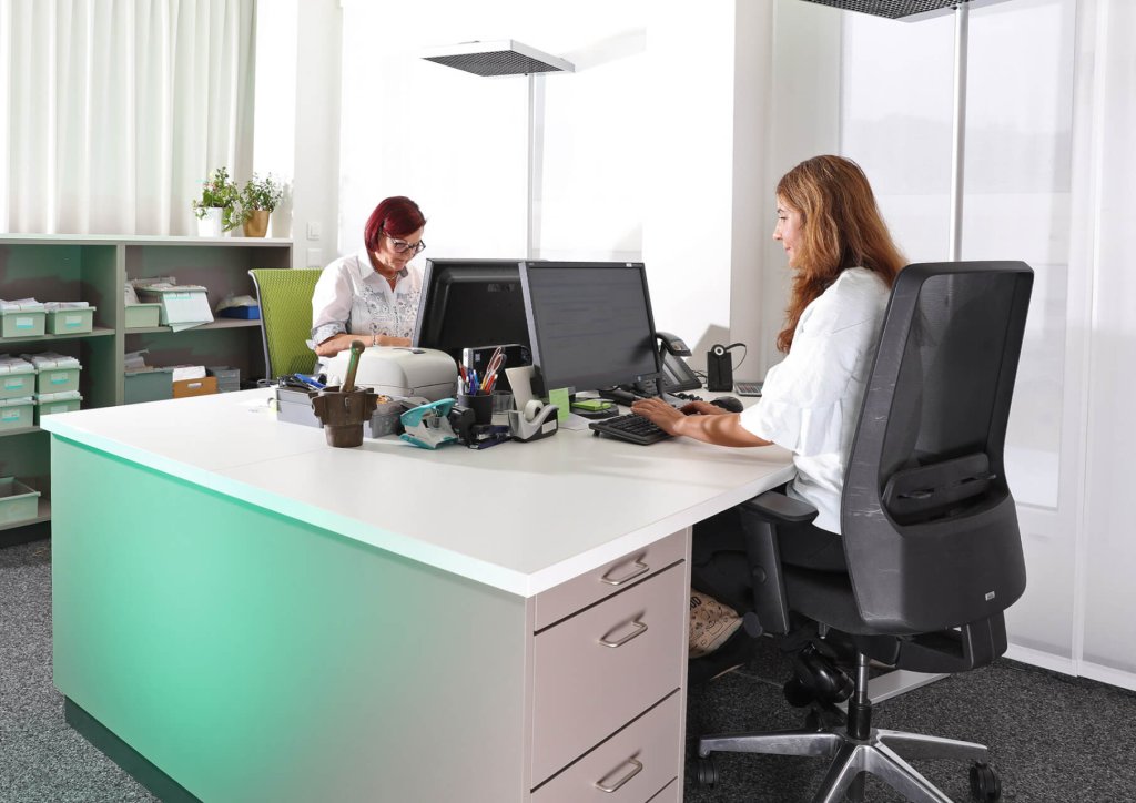 Zwei Frauen arbeiten an Schreibtischen in einem hellen B&uuml;ro, jede konzentriert auf ihren Computerbildschirm. Der Arbeitsplatz ist gut organisiert, mit B&uuml;romaterial, Regalen und nat&uuml;rlichem Licht, das durch gro&szlig;e Fenster einf&auml;llt.