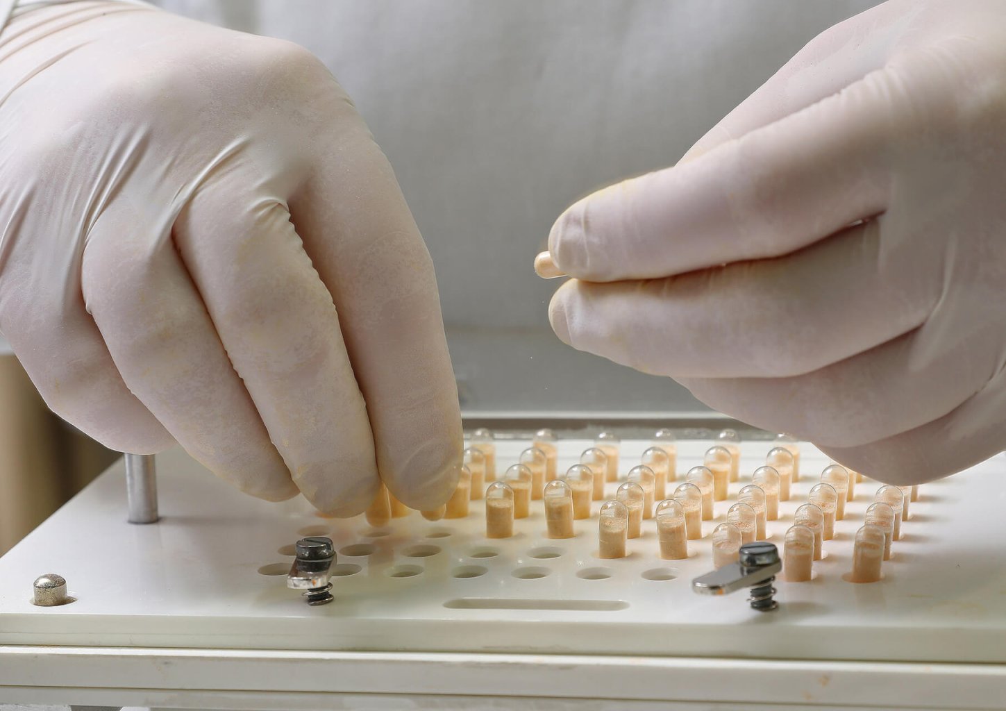 Mit behandschuhten H&auml;nden werden klare Kapseln mit einer manuellen Kapself&uuml;llmaschine der Wyss Manufaktur mit Pulver gef&uuml;llt. Mehrere leere Kapseln sind in Reihen auf dem Ger&auml;t angeordnet.