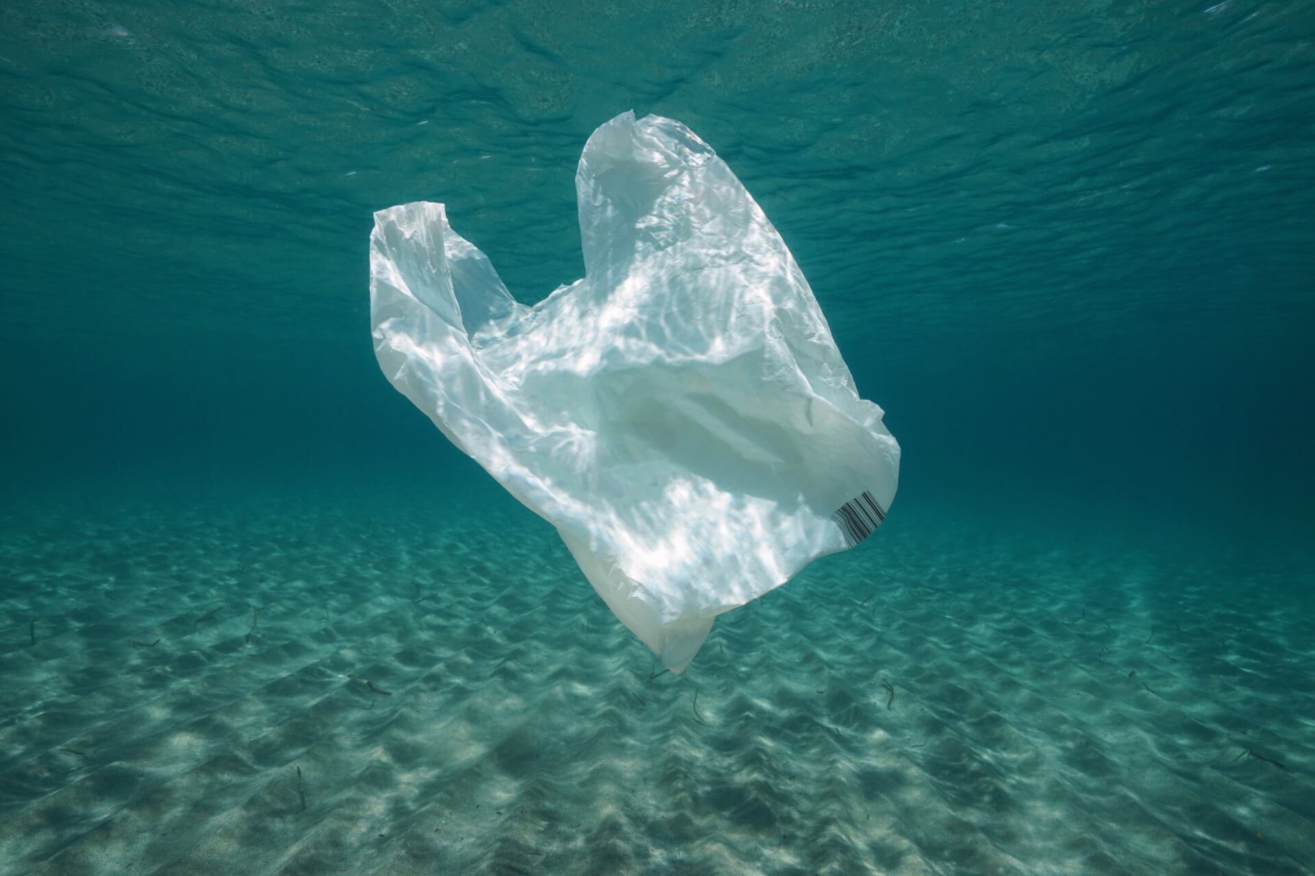 Plastikt&uuml;te im Meer