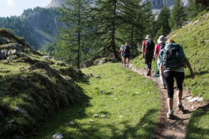 Eine Gruppe von Wanderern mit Rucks&auml;cken geht an einem sonnigen Tag einen schmalen Feldweg durch einen gr&uuml;nen, bergigen Wald hinauf. B&auml;ume und felsige H&auml;nge s&auml;umen den Weg.