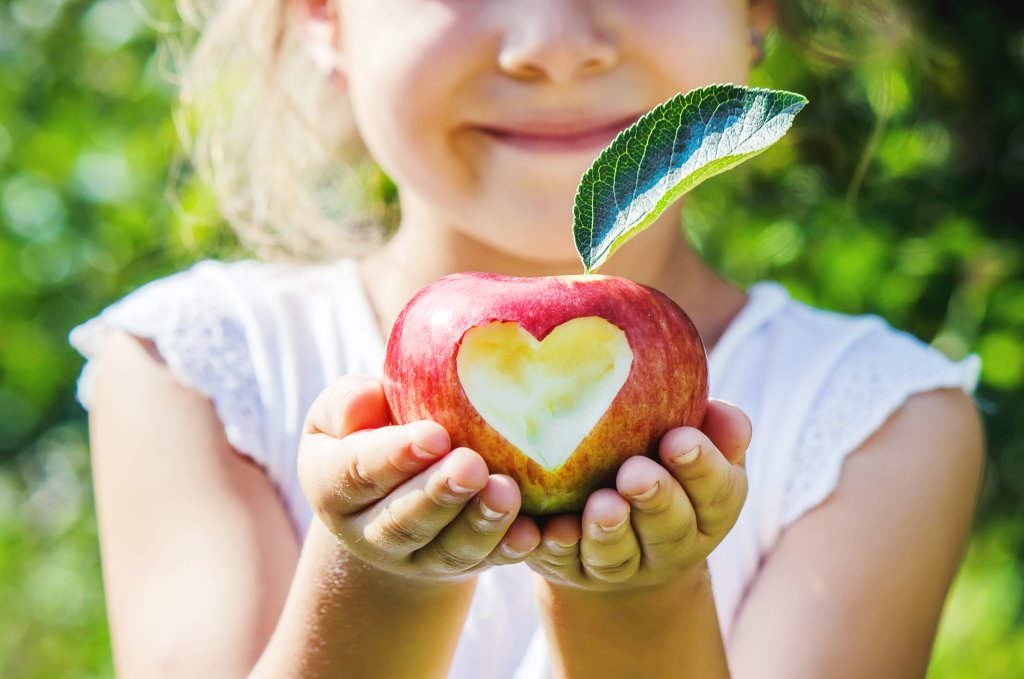 Ein Kind mit einem roten Apfel, in den es herzf&ouml;rmig hineinbei&szlig;t, l&auml;chelt im Hintergrund. Neben dem Apfel bringen leuchtende Echinacea-Bl&uuml;ten (Sonnenhut) Farbe in die helle Szene im Freien. An dem Apfel ist ein gr&uuml;nes Blatt befestigt.