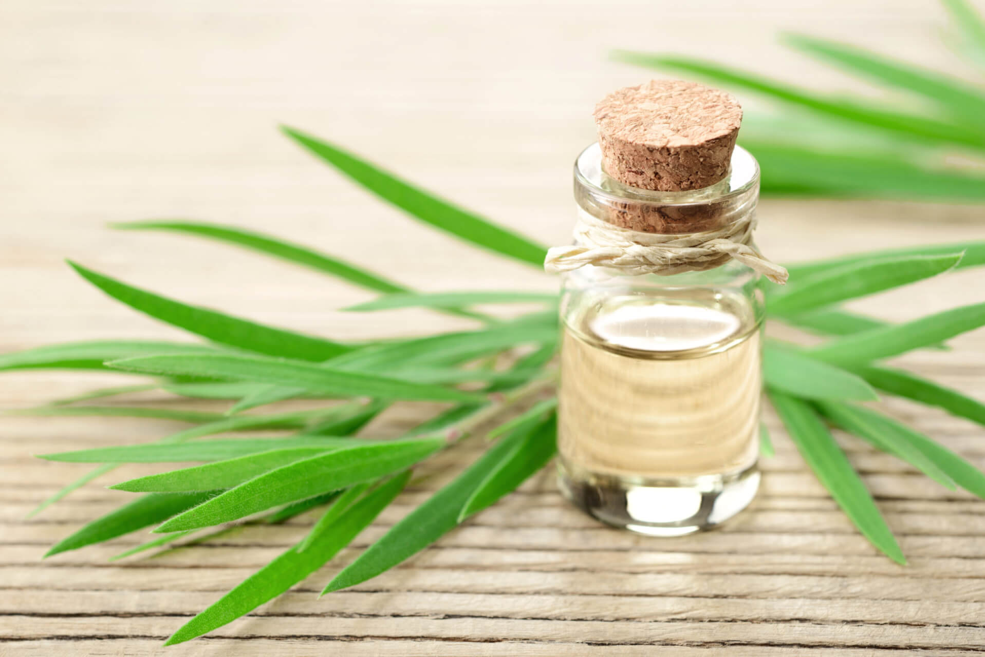 Eine kleine Glasflasche mit einem Korkenverschluss steht neben frischen gr&uuml;nen Bl&auml;ttern auf einer Holzfl&auml;che. Die Flasche ist in der N&auml;he des oberen Endes mit Schnur umwickelt.