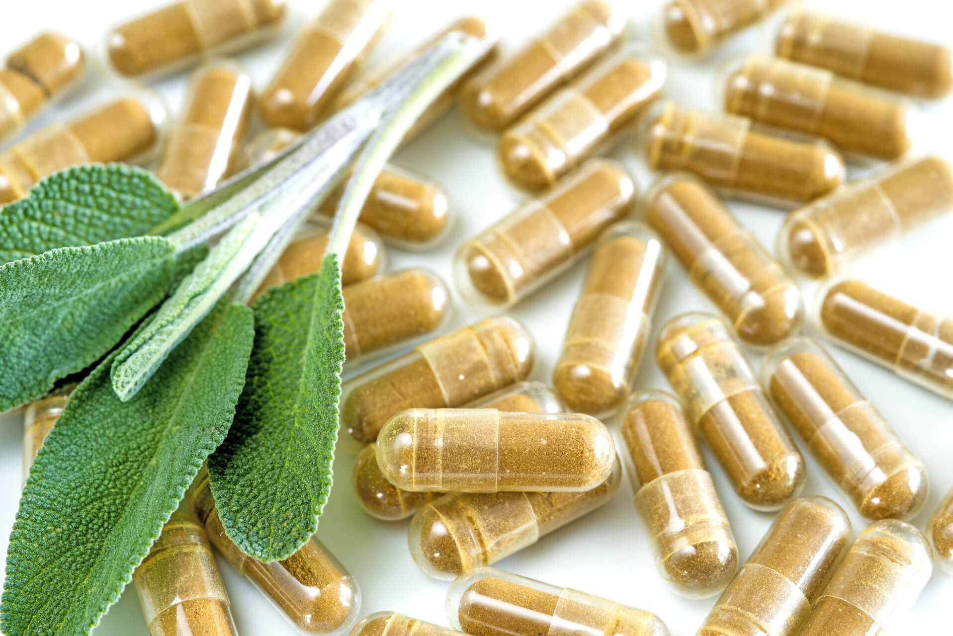 Mehrere gr&uuml;ne Bl&auml;tter ruhen auf einer Gruppe von braunen, durchsichtigen Tee-Tablettenkapseln, die pulverisierte pflanzliche Nahrungserg&auml;nzungsmittel auf einer wei&szlig;en Oberfl&auml;che enthalten.