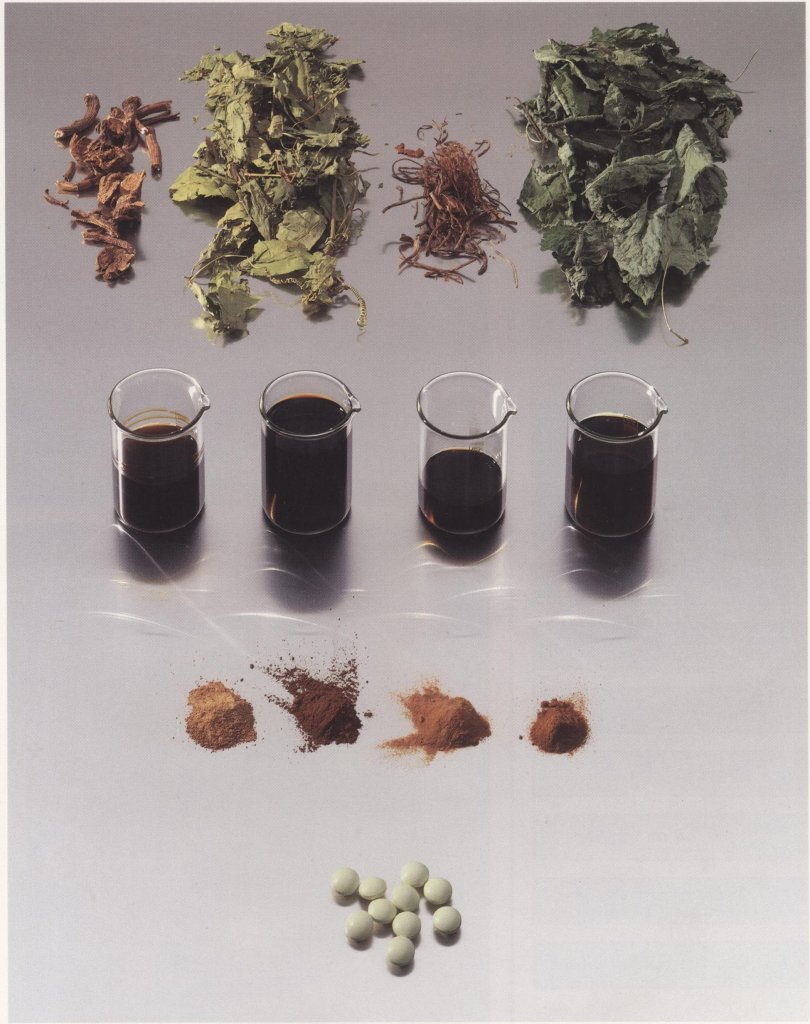 Vier Haufen getrockneter Kr&auml;uter, vier Becher mit dunkler Fl&uuml;ssigkeit, vier H&uuml;gel mit braunem Pulver und eine Reihe von Tee-Tabletten sind nacheinander auf einer hellen Fl&auml;che angeordnet und veranschaulichen die Phasen der Kr&auml;uterverarbeitung.
