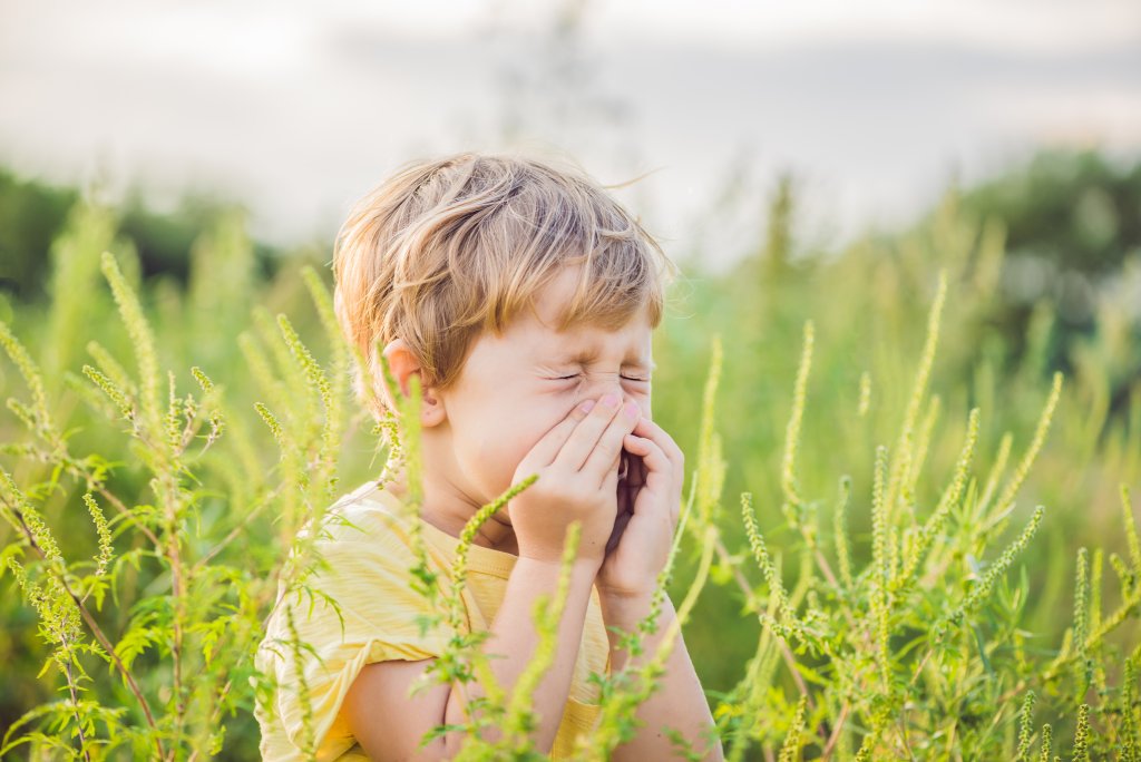 Ein kleines Kind, das m&ouml;glicherweise unter Heuschnupfen leidet, steht in einem Feld mit hohen gr&uuml;nen Pflanzen, tr&auml;gt ein gelbes Hemd, hat die Augen geschlossen und h&auml;lt sich Nase und Mund mit den H&auml;nden zu, als ob es niesen oder auf eine Allergie reagieren w&uuml;rde.