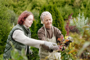 Eine j&uuml;ngere Frau und eine &auml;ltere Frau mit Gartenhandschuhen und Pullover arbeiten gemeinsam in einem Garten, l&auml;chelnd und das G&auml;rtnern als Therapie genie&szlig;end. Im Hintergrund sind gr&uuml;nes Laub und B&auml;ume zu sehen.