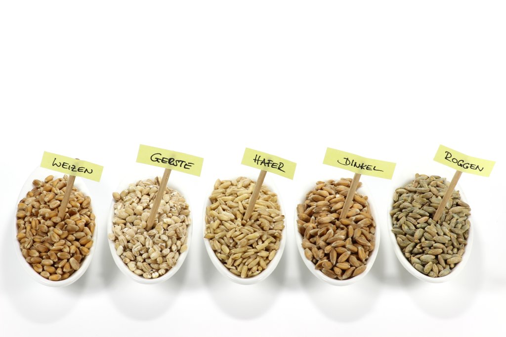 F&uuml;nf wei&szlig;e Schalen, gef&uuml;llt mit verschiedenen Glutenk&ouml;rnern, sind in einer Reihe angeordnet und jeweils auf Deutsch beschriftet: Weizen, Gerste, Hafer, Dinkel und Roggen - ideal, um Quellen von Glutenunvertr&auml;glichkeit oder Z&ouml;liakie vor einem wei&szlig;en Hintergrund hervorzuheben.