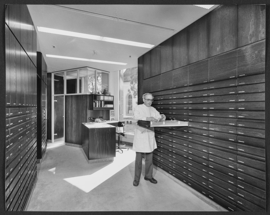 Eine Person im weissen Laborkittel steht in der aufger&auml;umten, hellen Apotheke Wyss in der N&auml;he des Bahnhofs Baden und &ouml;ffnet inmitten von hohen Aktenschr&auml;nken eine Schublade. Der aufger&auml;umte Arbeitsbereich mit Regalen und einem Fenster im Hintergrund ist modern.