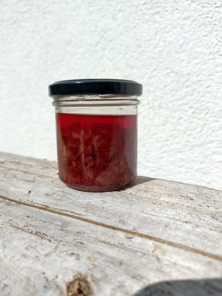 Ein kleines Glasgef&auml;&szlig; mit schwarzem Deckel, gef&uuml;llt mit roter Fl&uuml;ssigkeit und Bl&uuml;tenbl&auml;ttern, steht auf einer verwitterten Holzfl&auml;che vor einer wei&szlig; strukturierten Wand.