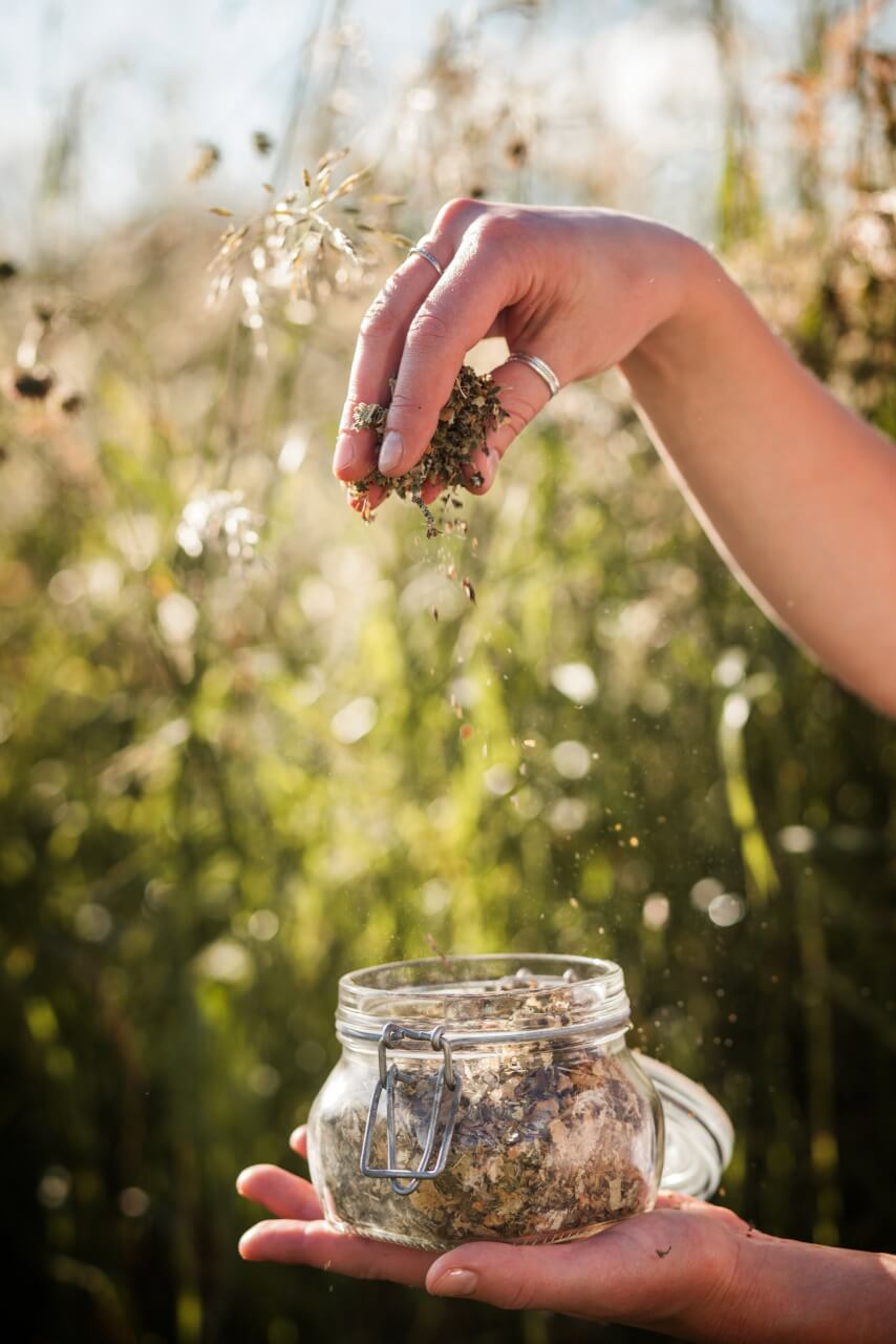 Eine Hand streut getrocknete Kr&auml;uter in ein Glasgef&auml;&szlig;, das sie in der anderen h&auml;lt. Der Hintergrund ist unscharf und zeigt hohes Gartengras und Wildblumen im nat&uuml;rlichen Sonnenlicht.