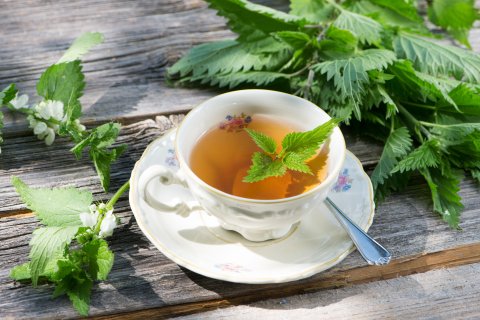 Eine Tasse Kr&auml;utertee mit einem frischen Brennnesselblatt, das darauf schwimmt, steht auf einer Untertasse mit einem L&ouml;ffel. Pflanzenkraft aus frischen Brennnesseln, die bei Blasenentz&uuml;ndung helfen kann, liegt verstreut auf einem rustikalen Holztisch im Sonnenlicht.